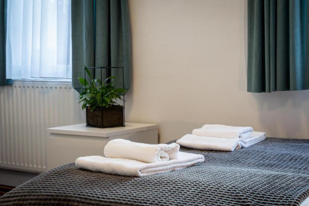 Great Polonia Dwarf Wroclaw Bed and Breakfast Buitenkant foto